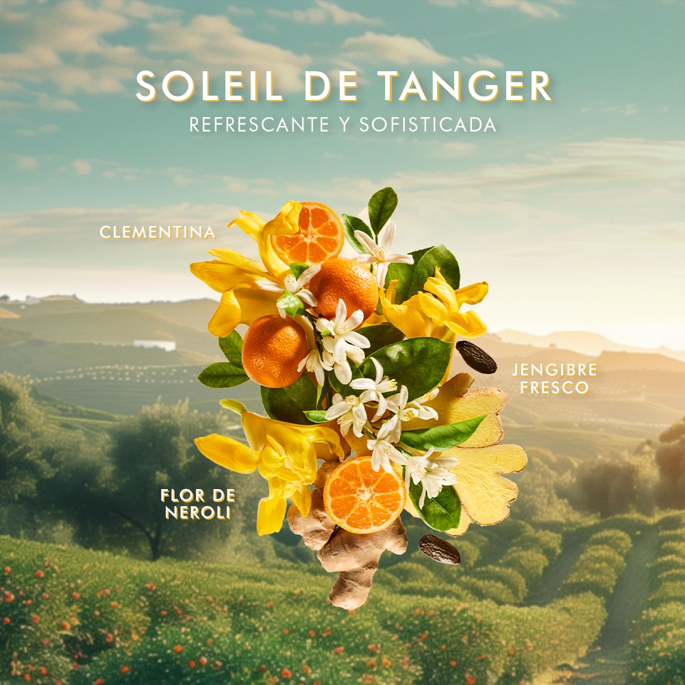 SOLEIL DE TANGER HAND WASH (JABÓN DE MANOS)